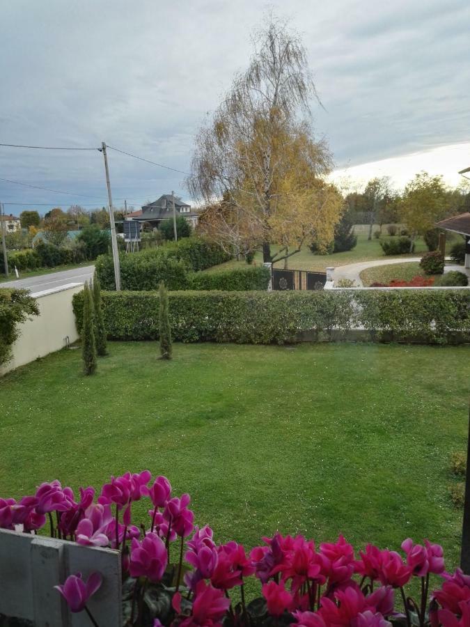 Casa Zanier Aviano Apartment San Martino di Campagna Ngoại thất bức ảnh